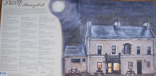 nights in shanaglish