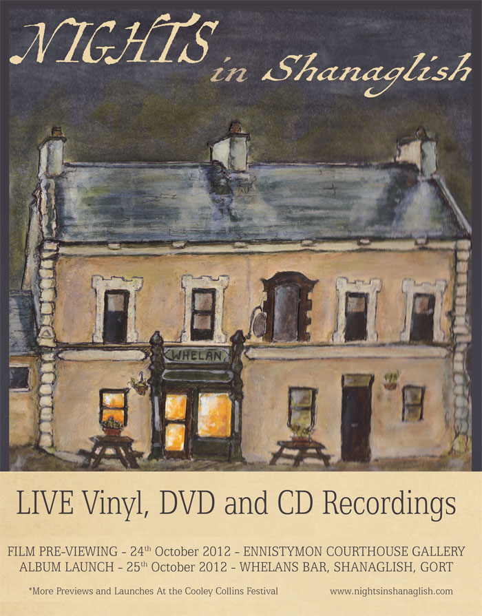 nights in shanaglish poster